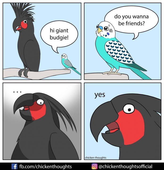 25 Funniest New comics about parrots, illustrated by the owner of the ...