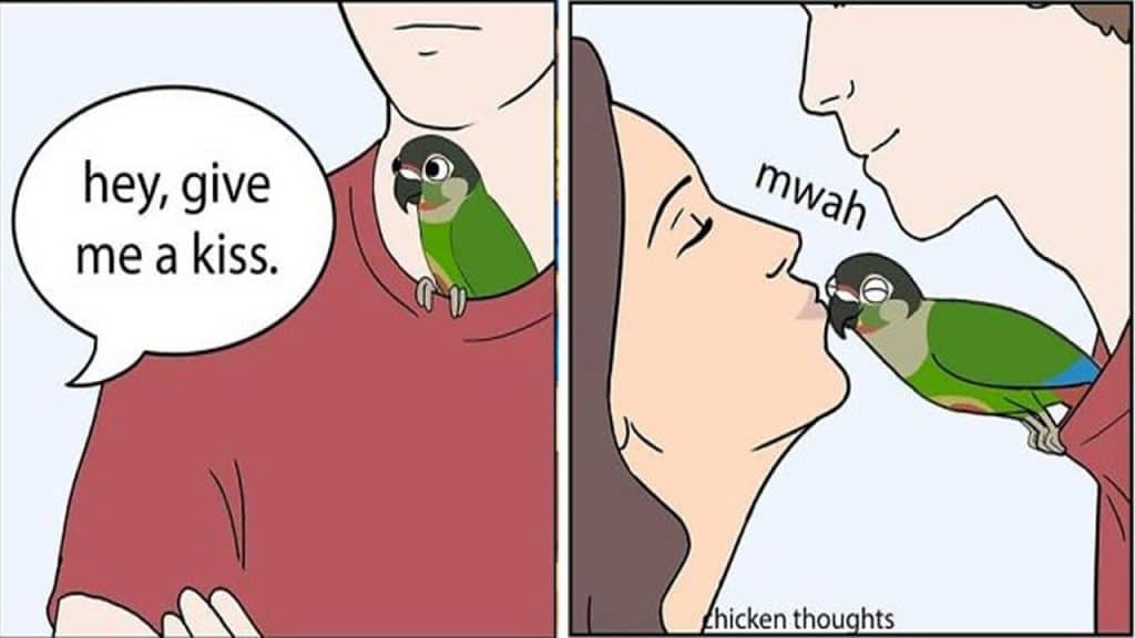 25 Funniest New Comics About Parrots Illustrated By The Owner Of The