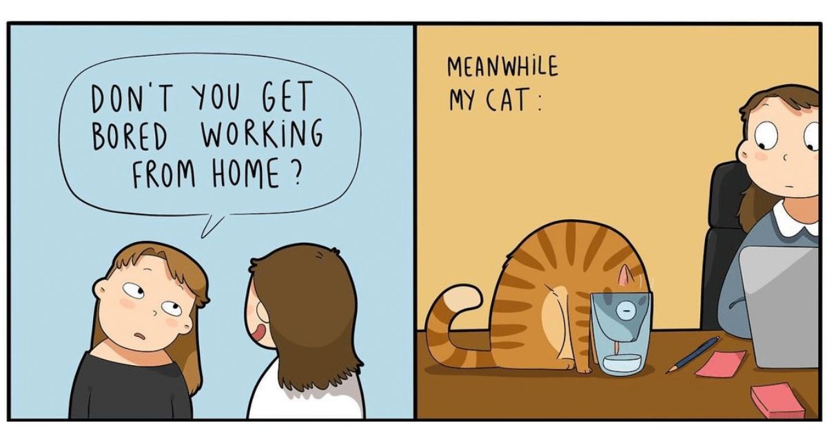 20 Lingvistov Comics Based on True Love in the Lives of Cat Owners