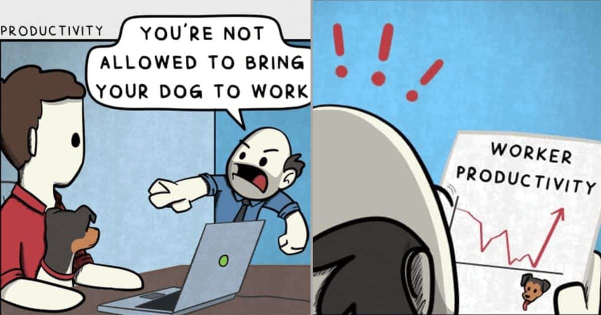 20 Best Comics Features Amusing Acts of Dog and His Owner by Hey Buddy 