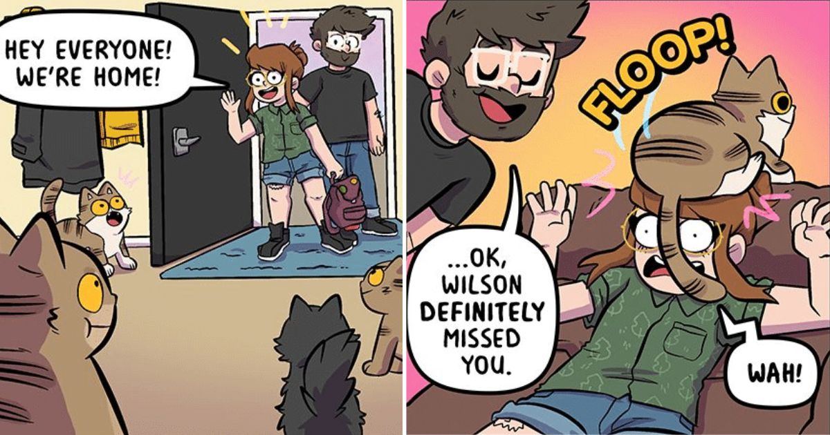 Relationship Life Is Perfectly Shown By Sarah Graley Along With Four Cats (20 Comics)