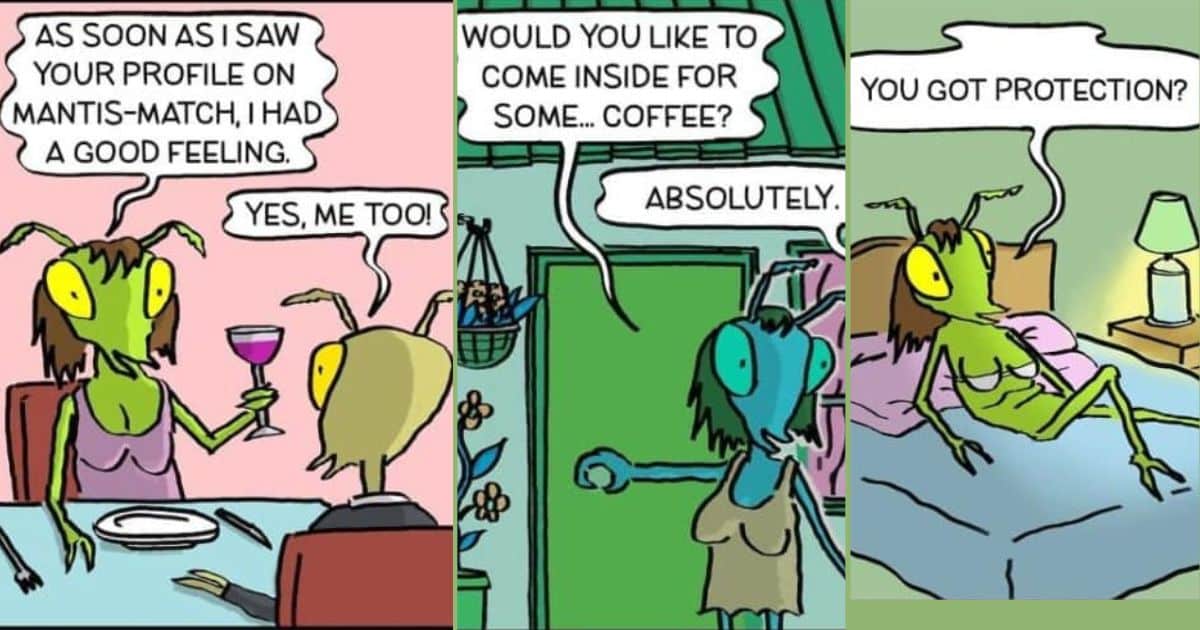 20 Times This Artist Created Funny Comics With Unexpected Endings