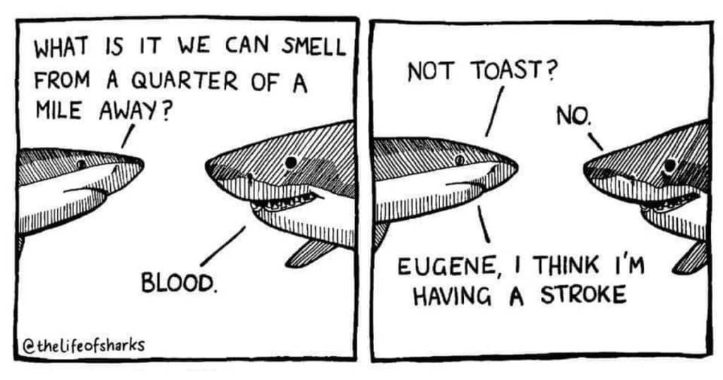 20+ Times This Artist Beautifully illustrates about Shark’s Life in a Comedy way